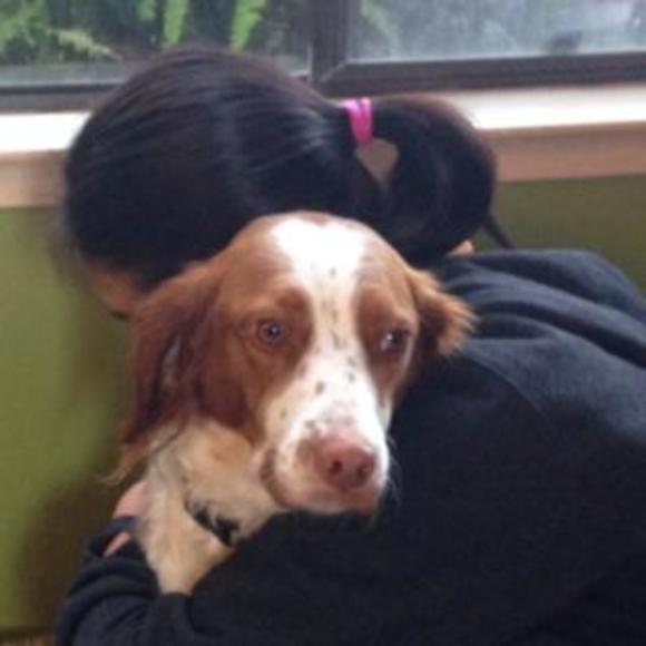 Meet your Posher, Marlene - Picture 1 of 1